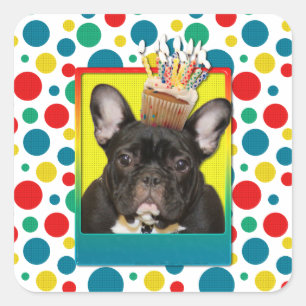 Adesivo Quadrado Cupcake de aniversário - Cão-Grande Francês - Teal