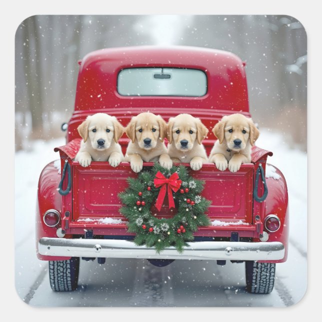 Adesivo Quadrado Cuppies De Retriever De ouro No Caminhão De Natal (Frente)