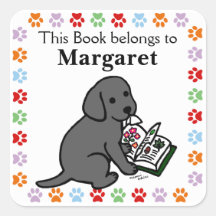 Curioso Black Labrador Puppy