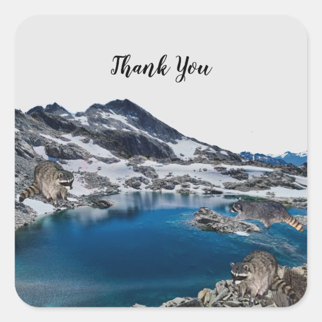 Adesivo Quadrado Curioso guindaste quadrado (Frente)