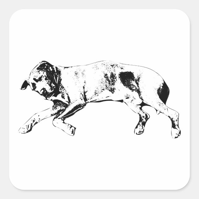 Adesivo Quadrado Curled Limbs, Noel Calm (Frente)