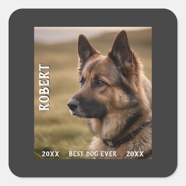 Adesivo Quadrado Customized pet memorial best dog ever (Frente)
