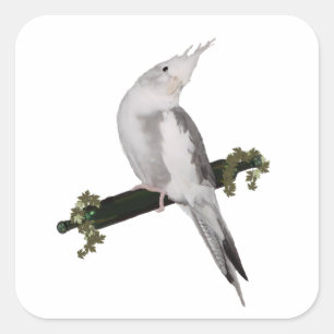 Adesivo Quadrado Cute Lutino Cockatiel Bird Ivy Perch Animal