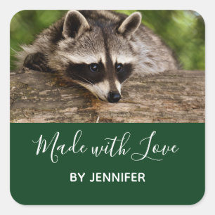 Adesivo Quadrado Cute Raccoon Descansa em um Diário, Feita com Amor