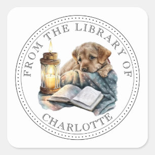 Adesivo Quadrado Da Biblioteca De Ex-Libris Ilustrado
