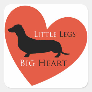 Adesivo Quadrado Dachshund