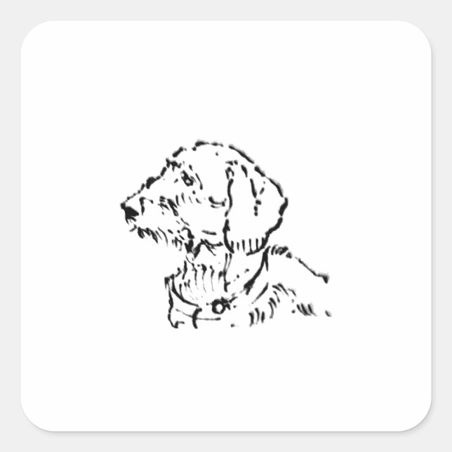 Adesivo Quadrado Dachshund de Pelo Duro (Frente)
