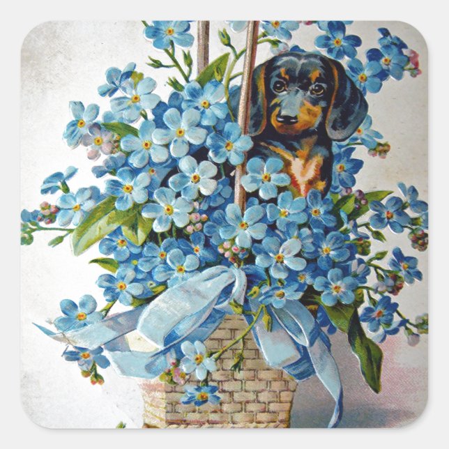 Adesivo Quadrado Dachshund e Forget-Me-Nots (Frente)
