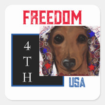Dachshund Vermelho     