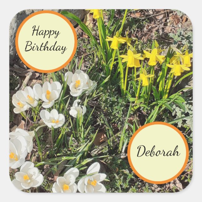 Adesivo Quadrado Daffodils & Crocus Birthday (Frente)
