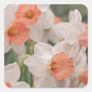 Adesivo Quadrado Daffodils Peach