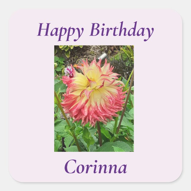 Adesivo Quadrado Dahlia Rosa e Amarelo (Frente)