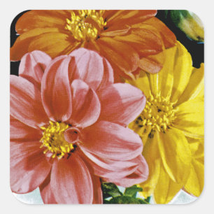 Adesivo Quadrado Dahlia Vintage Seed Packet