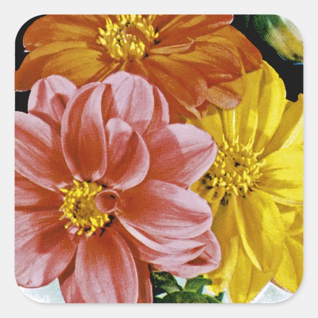 Adesivo Quadrado Dahlia Vintage Seed Packet (Frente)