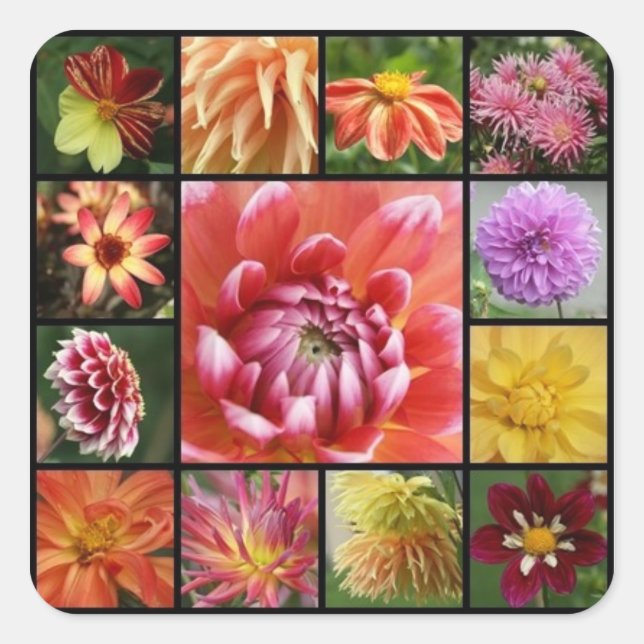 Adesivo Quadrado dahlias (Frente)