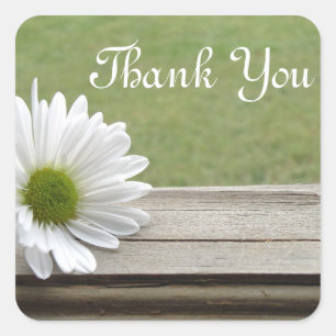 Adesivo Quadrado Daisy Theme