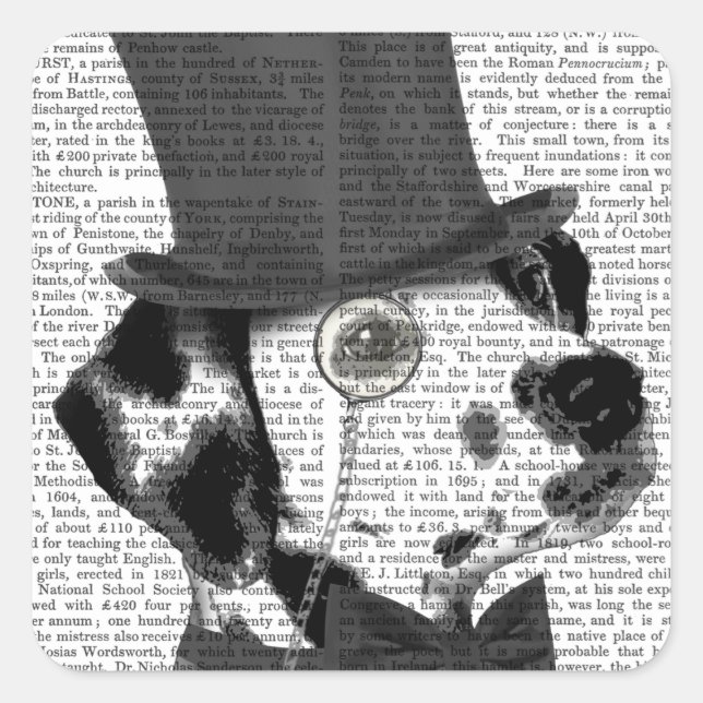 Adesivo Quadrado Dalmácia, Formal Hound e Chapéu (Frente)