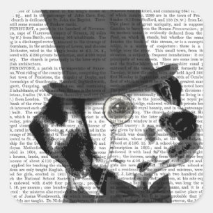 Adesivo Quadrado Dalmácia, Formal Hound e Chapéu