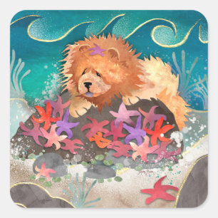 Adesivo Quadrado DANCIN COM autocolantes quadrados STARZ