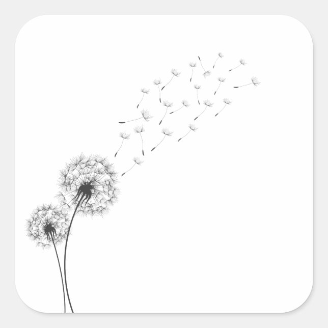 Adesivo Quadrado Dandelion minimalista simples | Vinheta (Frente)