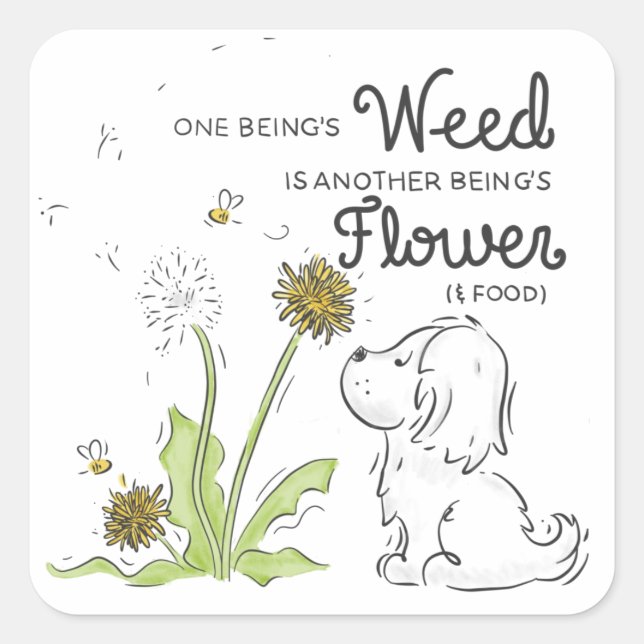 Adesivo Quadrado Dandelion Sticker (Frente)