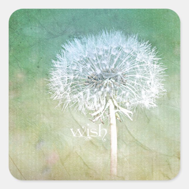 Adesivo Quadrado Dandelion Wish Dreamy Design (Frente)