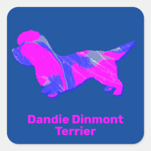 Adesivo Quadrado Dandie Dinmont Terrier Crazy Hot Pink e Blue
