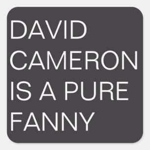 Adesivo Quadrado David Cameron