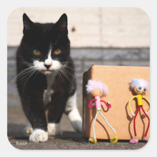 Adesivo Quadrado De Fubby's verstoppen zich voor de kat Ping.