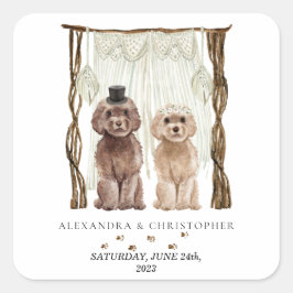Adesivo Quadrado Decoração Marrom Cachorros Casal Cavapoo