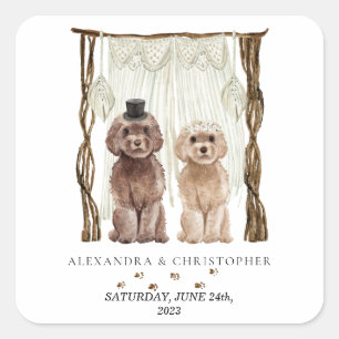 Adesivo Quadrado Decoração Marrom Cachorros Casal Cavapoo