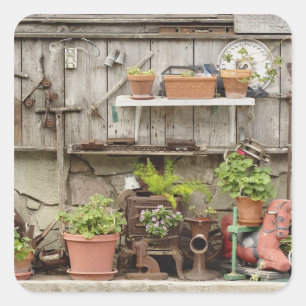 Adesivo Quadrado Decorações na cerca de madeira, ilha Catalina,