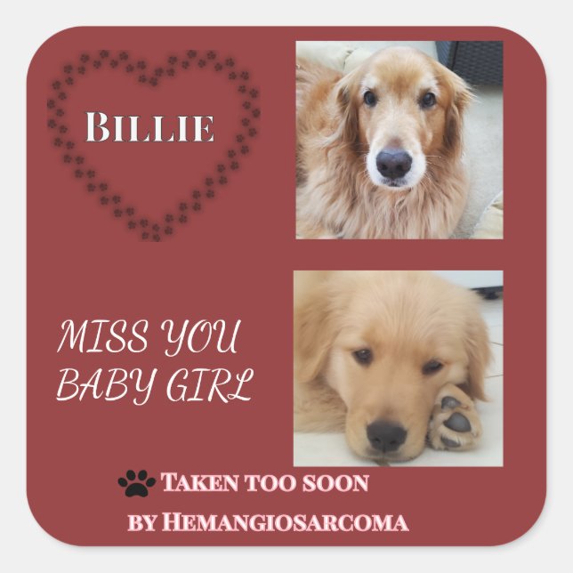Adesivo Quadrado Deep Red Hemangiosarcoma Tribute Square Sticker (Frente)
