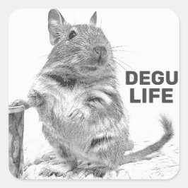 ADESIVO QUADRADO DEGU LIFE