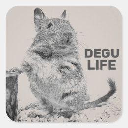 ADESIVO QUADRADO DEGU LIFE