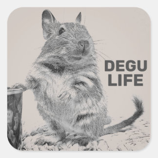ADESIVO QUADRADO DEGU LIFE