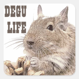 Adesivo Quadrado ► DEGU ► Rodents