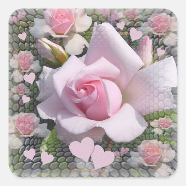 Adesivo Quadrado Delicate Pale Pink Rose with Hearts (Frente)