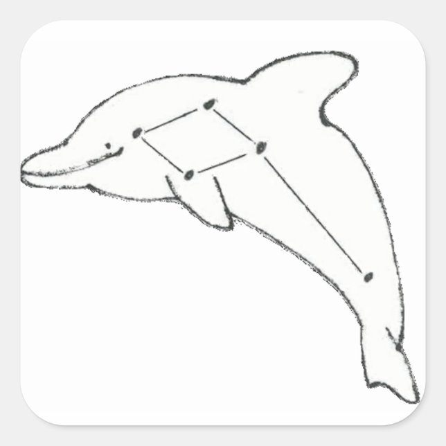 Adesivo Quadrado Delphinus Airways Sticker (Frente)