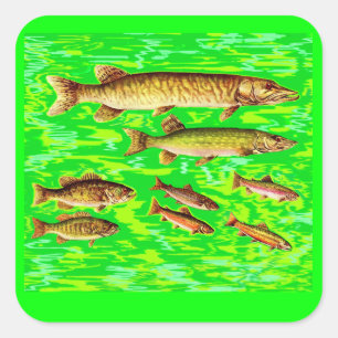 Adesivo Quadrado demasiados peixes no mar