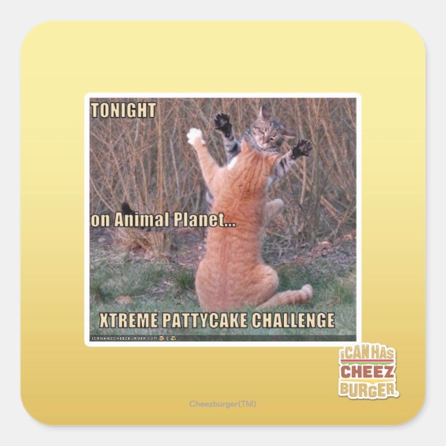 Adesivo Quadrado Desafio Xtreme PattyCake (Frente)