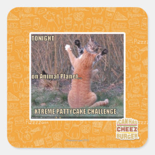 Adesivo Quadrado Desafio Xtreme PattyCake