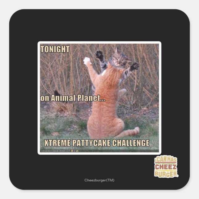 Adesivo Quadrado Desafio Xtreme PattyCake (Frente)