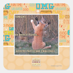 Adesivo Quadrado Desafio Xtreme PattyCake