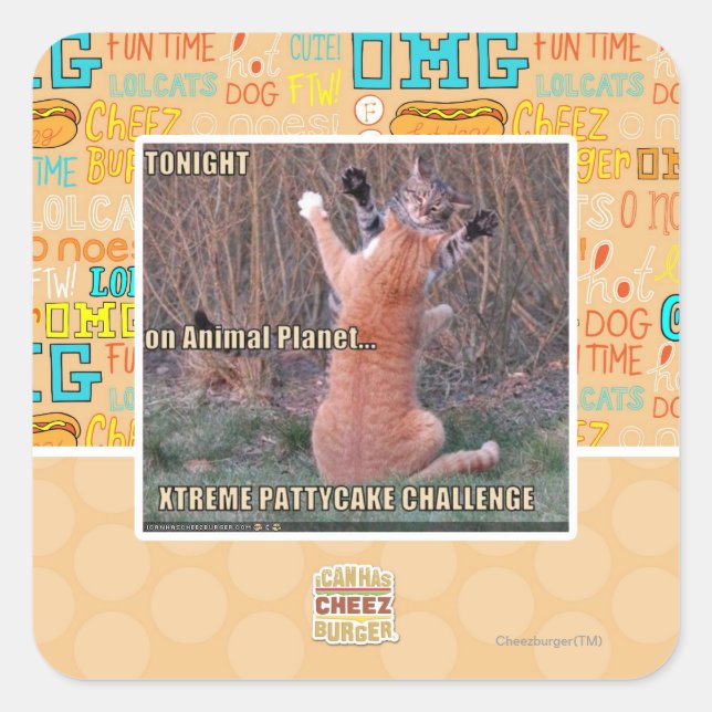 Adesivo Quadrado Desafio Xtreme PattyCake (Frente)