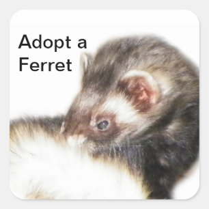 Adesivo Quadrado Desativar Imagem de Ferret