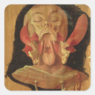 Adesivo Quadrado Desenho anatômico da cabeça