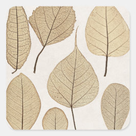 Adesivo Quadrado Desenho Botânico Naturalista Vintage | Folhas 1858