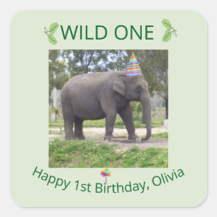 Adesivo Quadrado Desenho de Aniversário do Elefante Selvagem