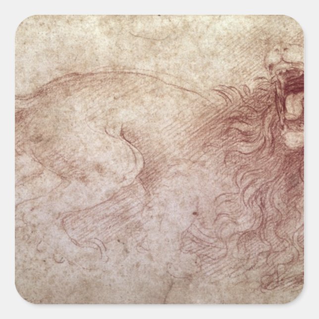 Adesivo Quadrado Desenho de um leão rugido (Frente)